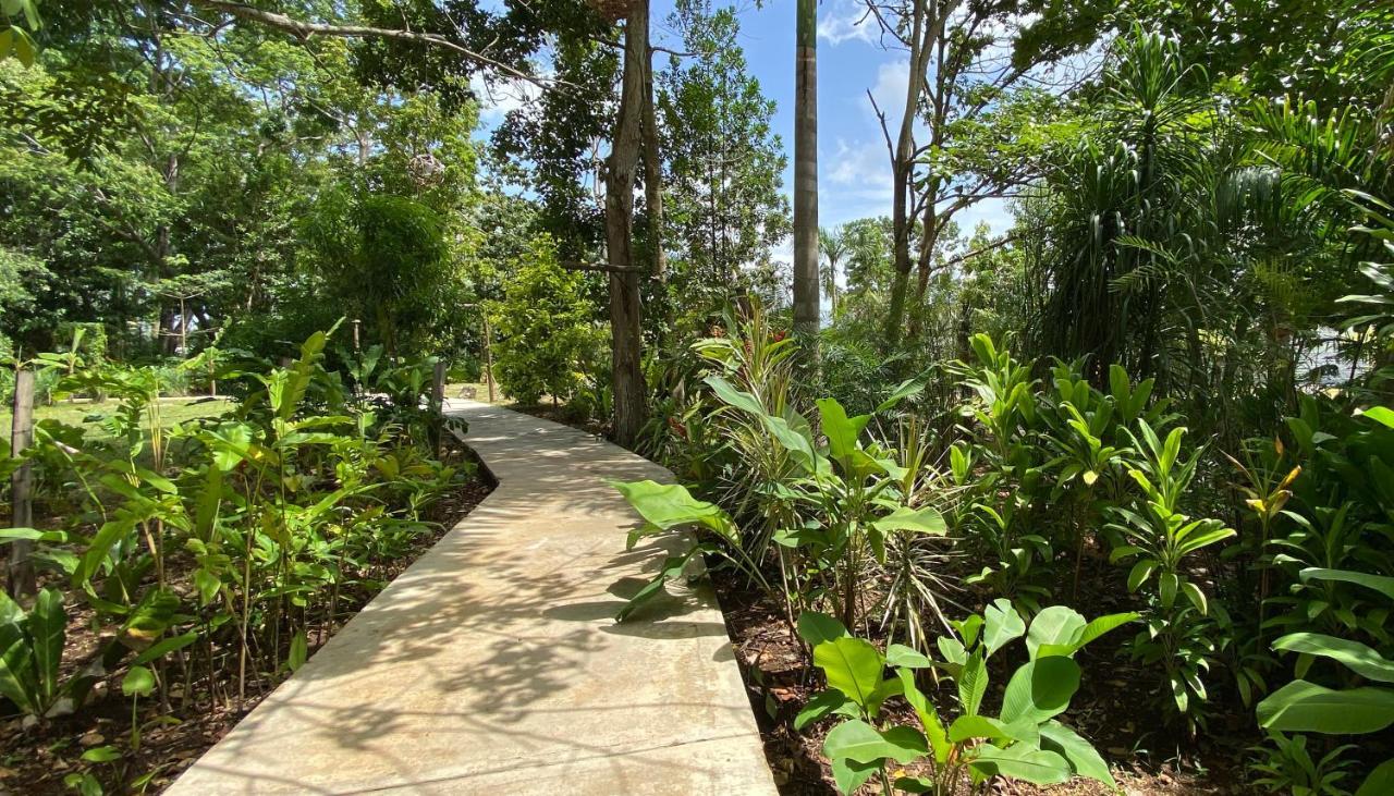 Hotel Maya Internacional Flores Ngoại thất bức ảnh